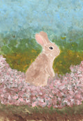 Meadow’s Bloom