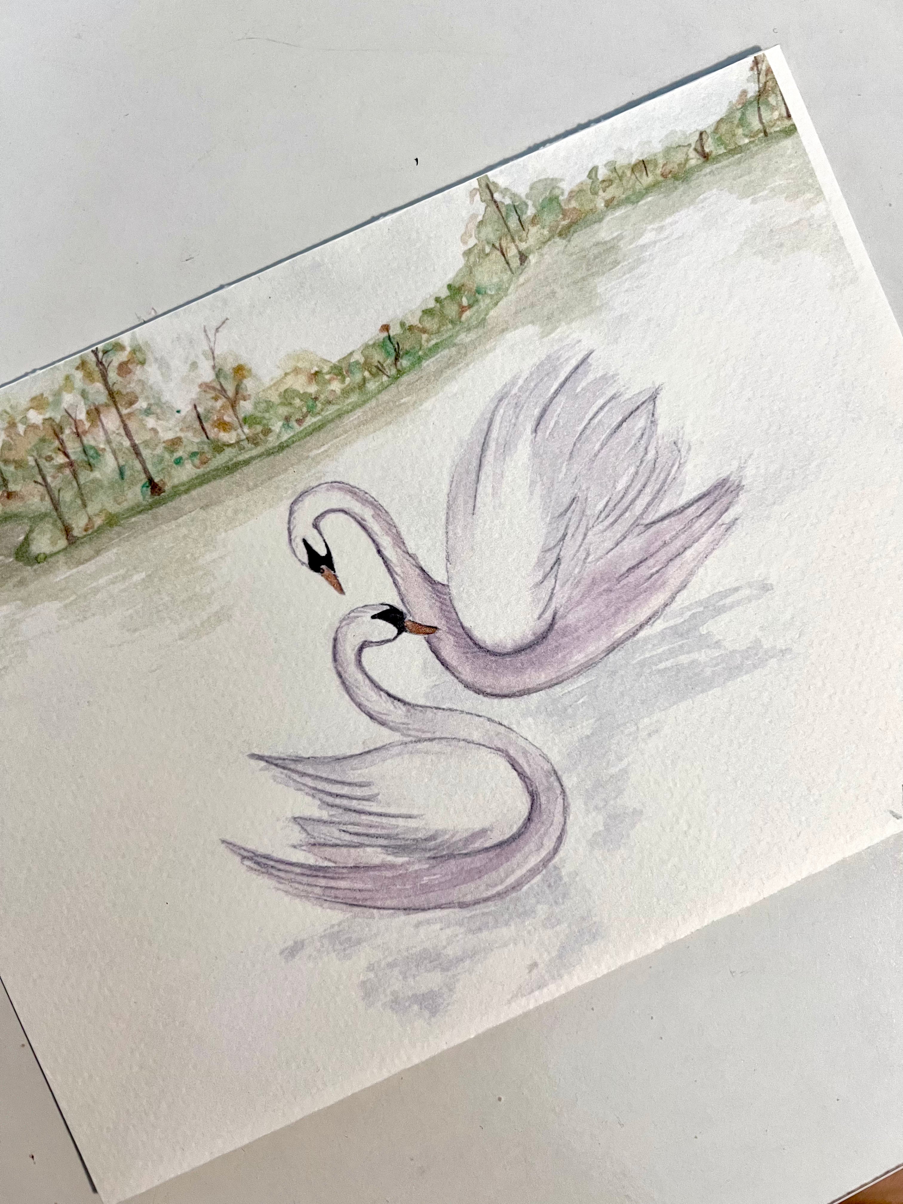 January 2026 - Swan