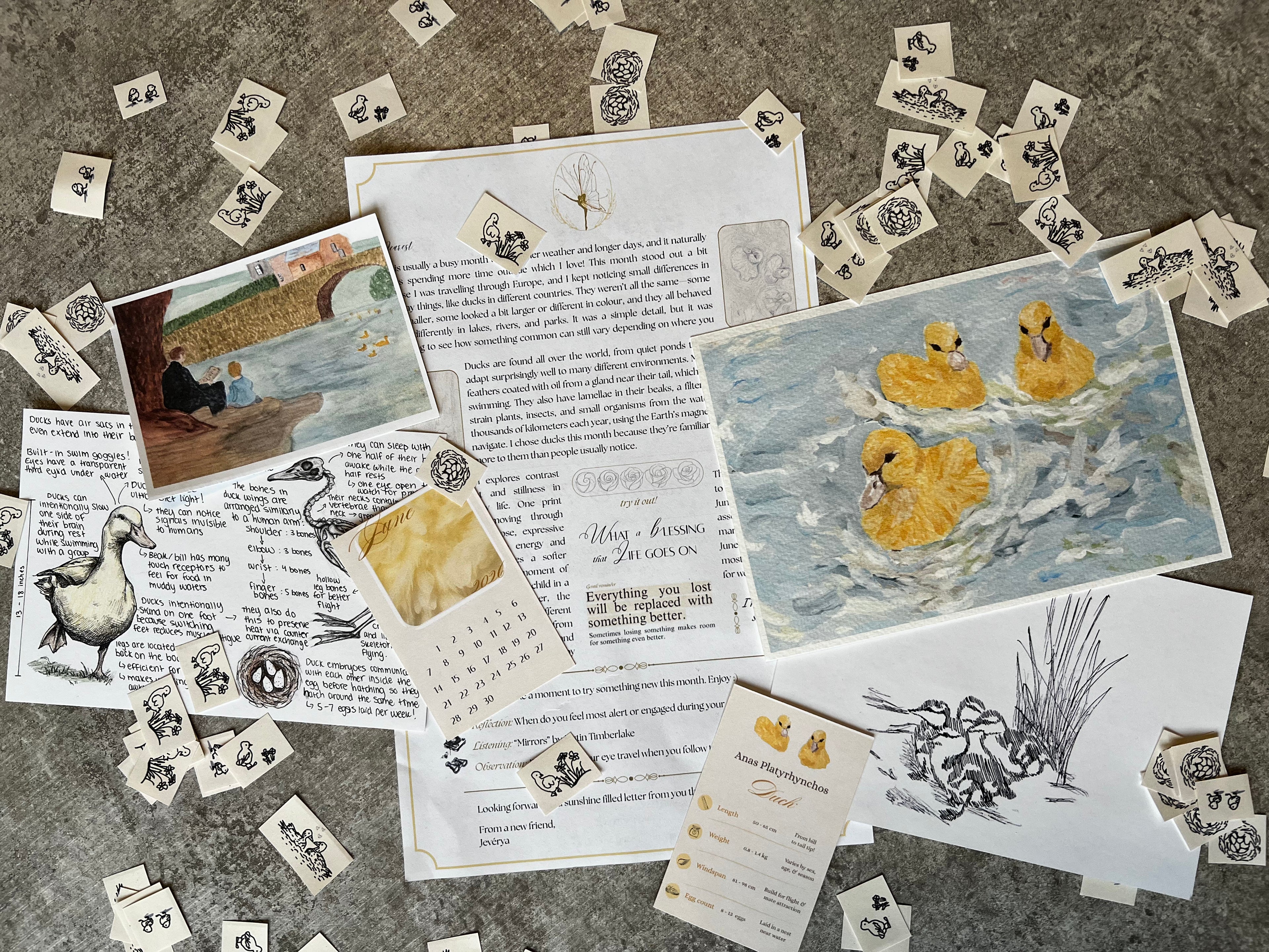 June 2026 - Ducks