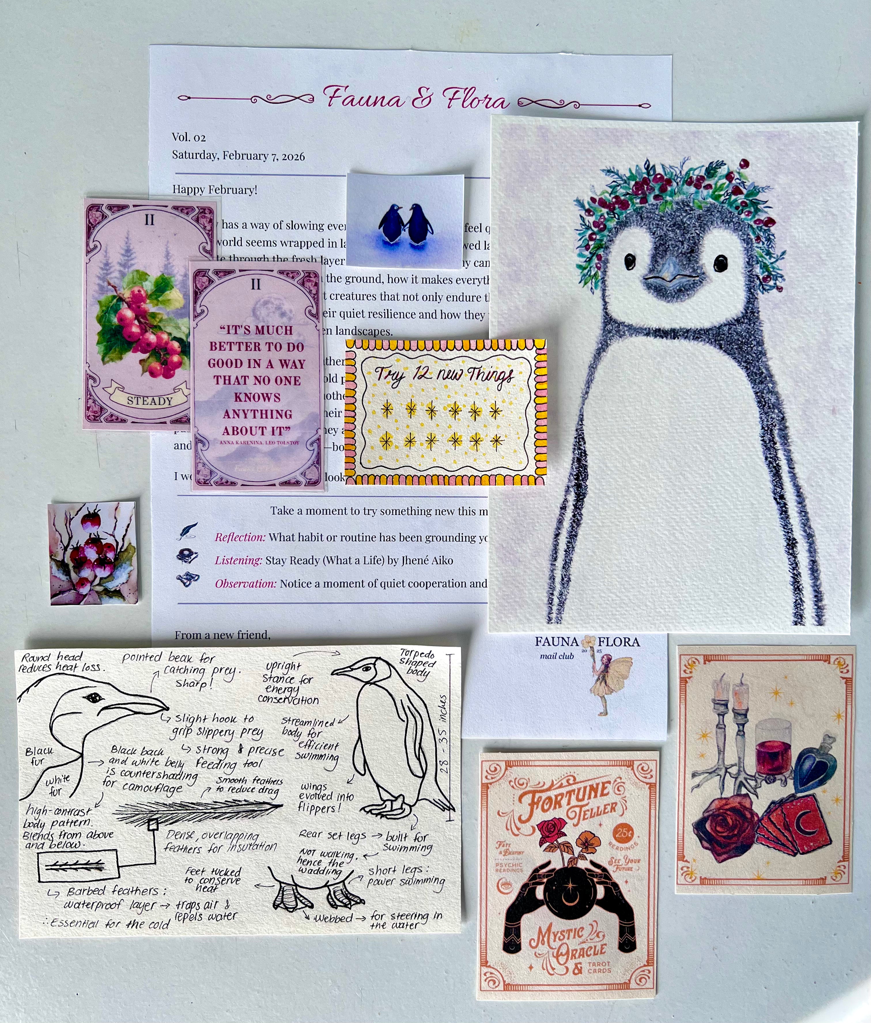 February 2026 - Penguin