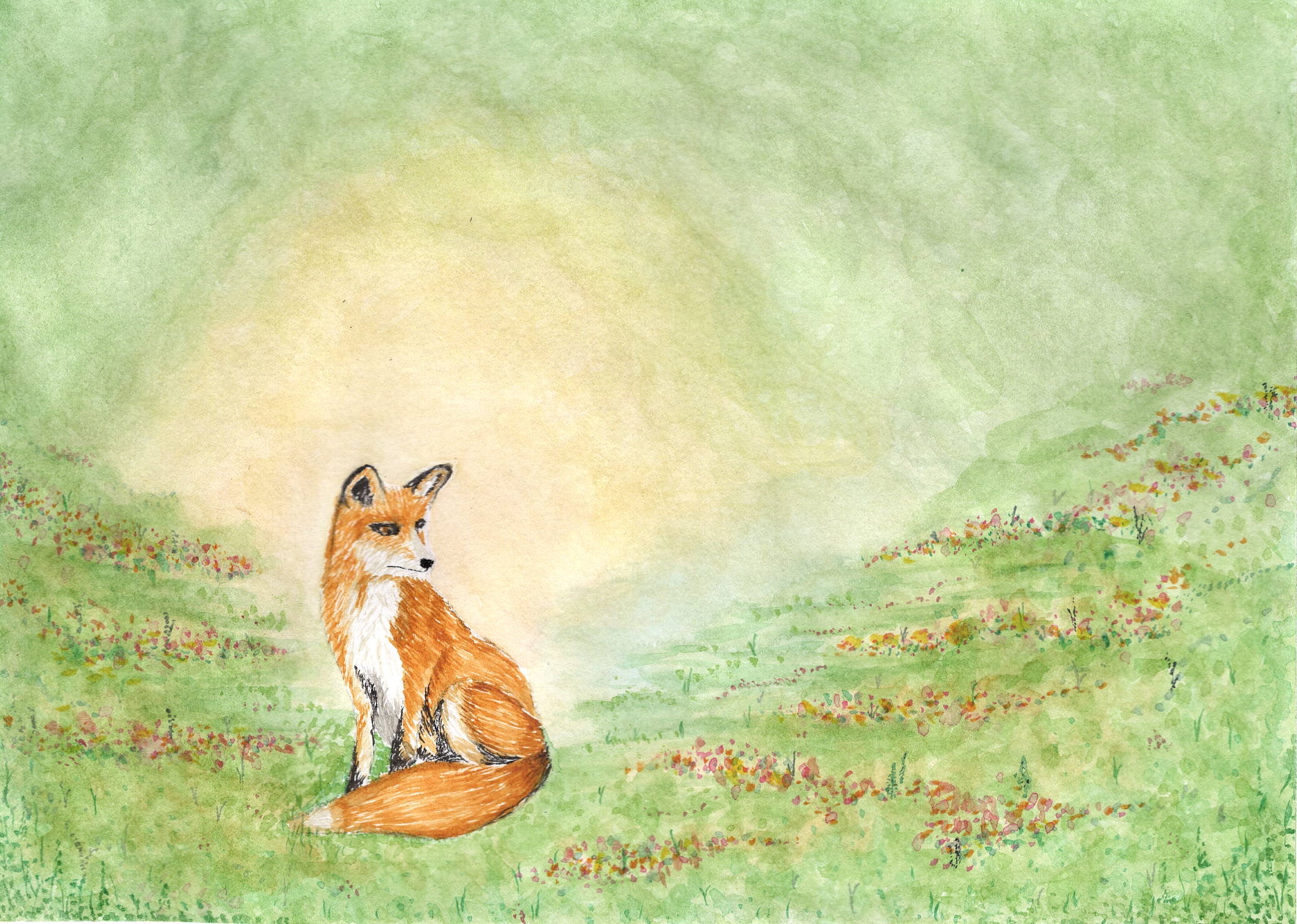 Meadow Mischief