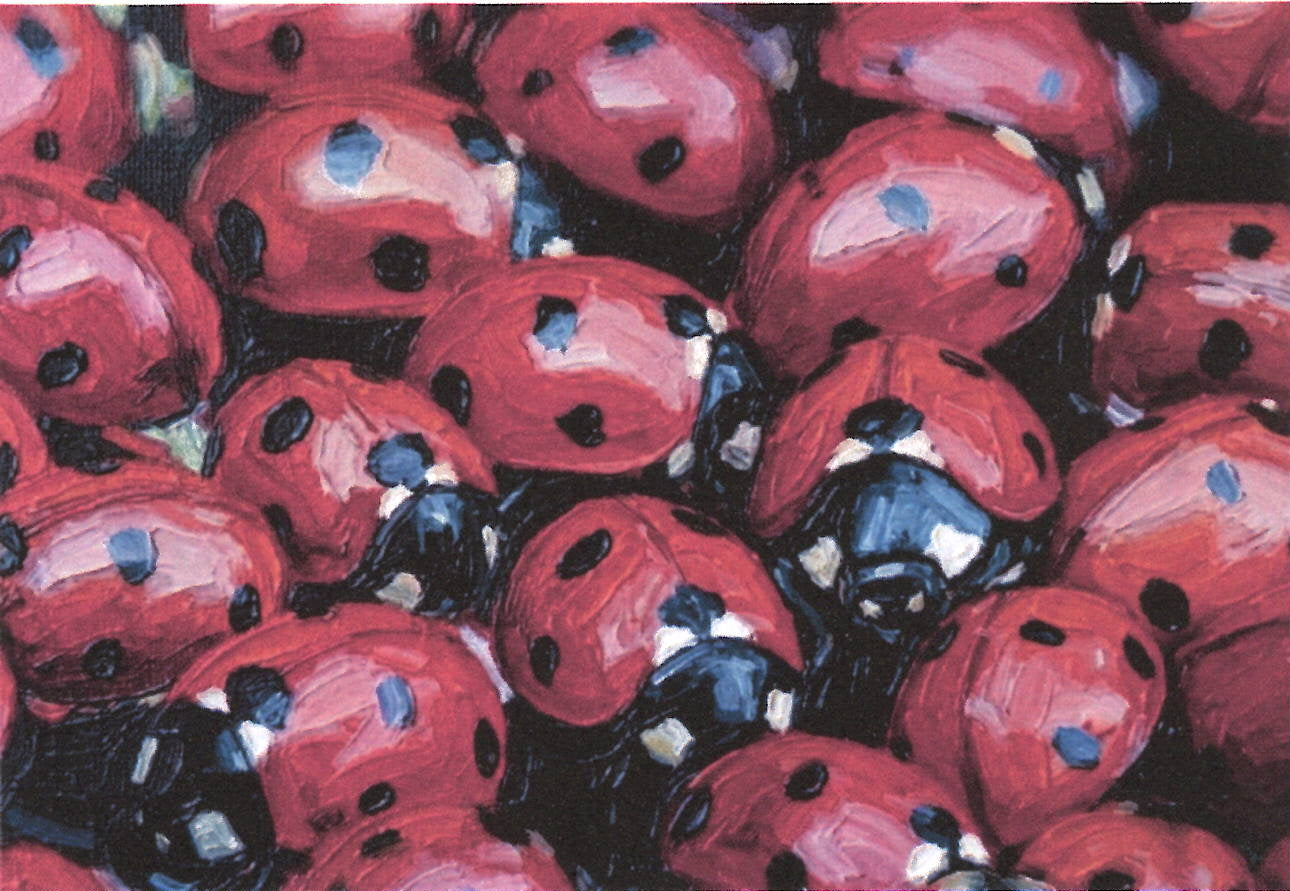 Scarlet Cluster